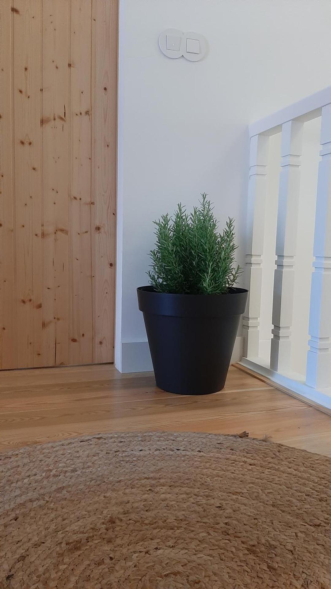 O VIOLAS - Art Coffee & Guesthouse