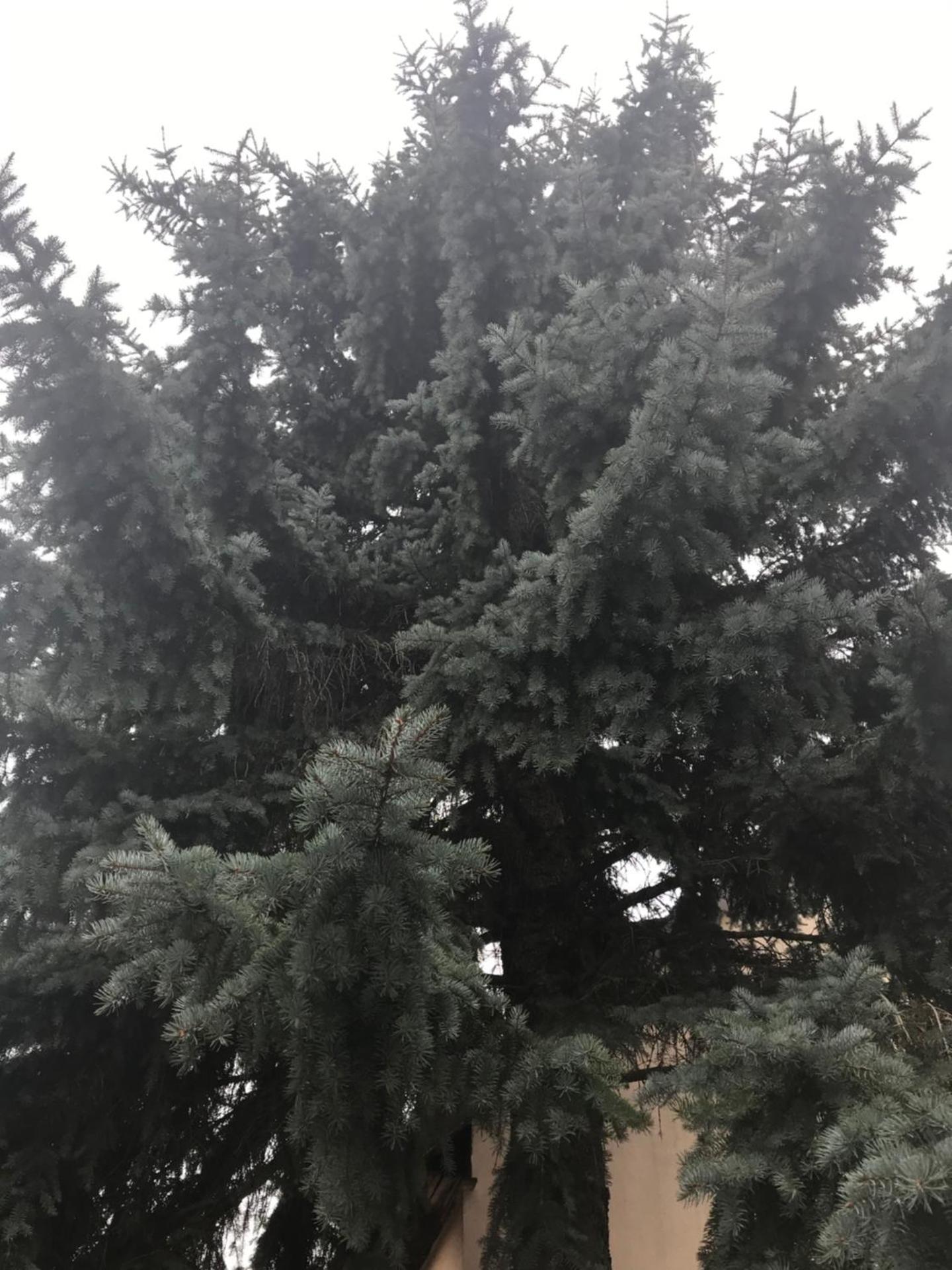 Balatonkenesei Vendégház