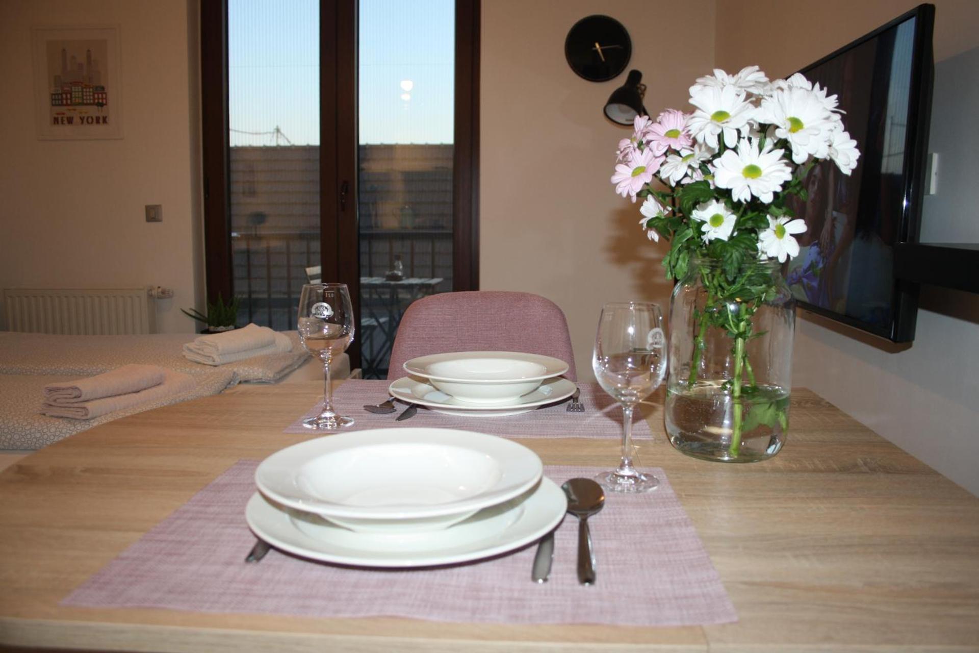 Studio apartman Centar