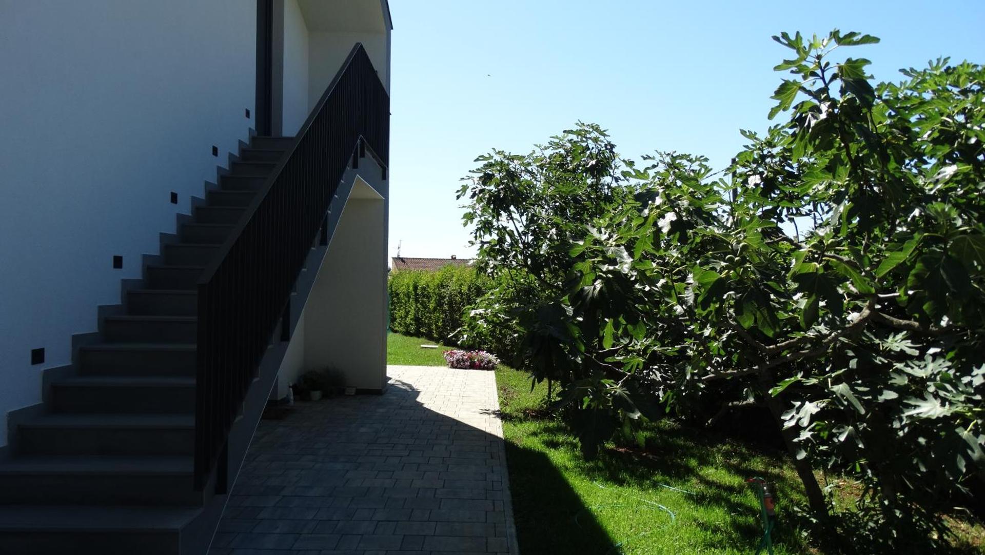 Papillon i Dolce Vita