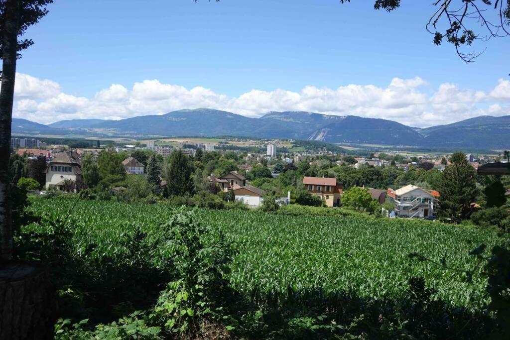 Appartement 1 pièce entresol 30 m2 proche du centre et bain thermal