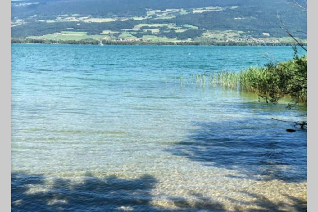 Appartement 1 pièce entresol 30 m2 proche du centre et bain thermal