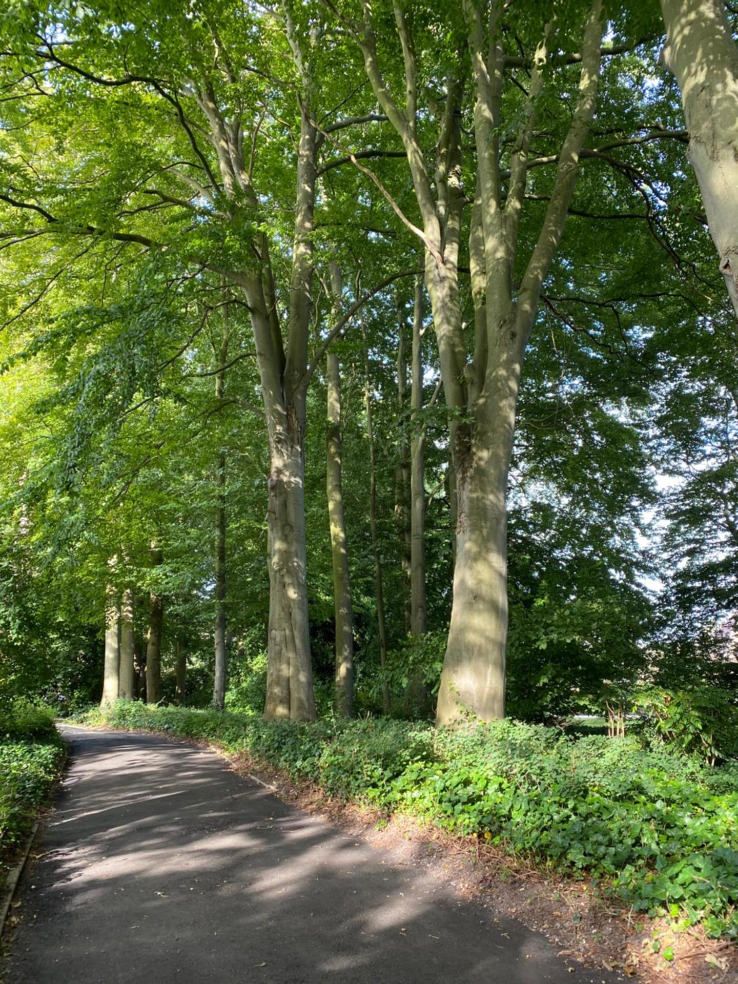 Bed and Breakfast Het Emmapark Medemblik