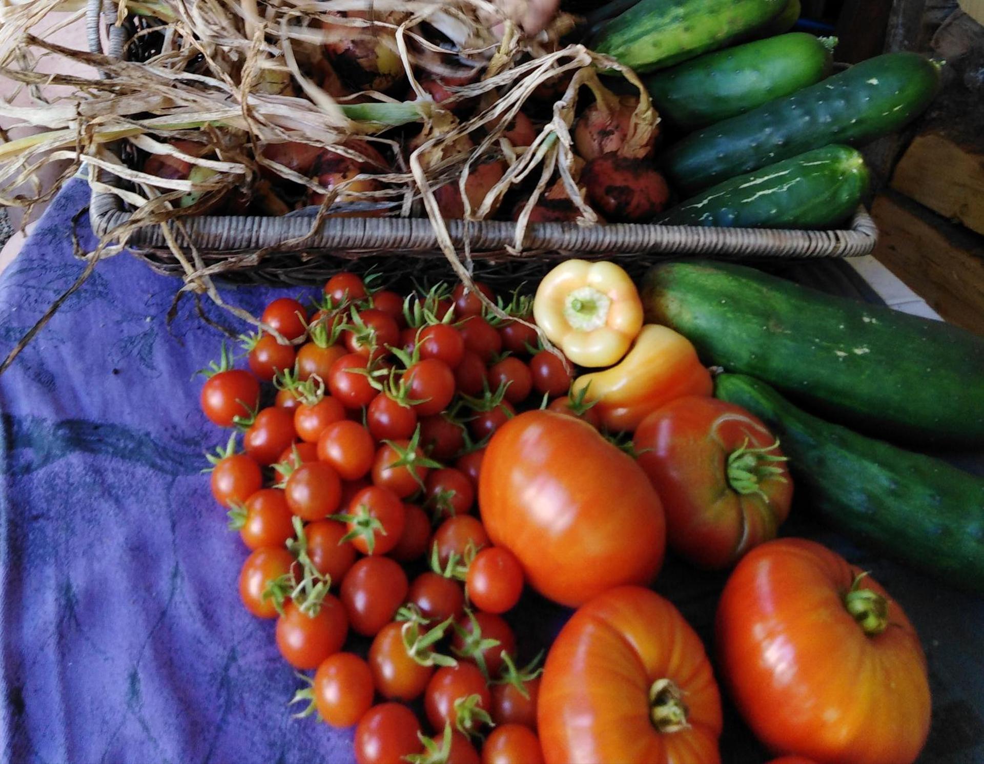 Studio apartmani Šverko