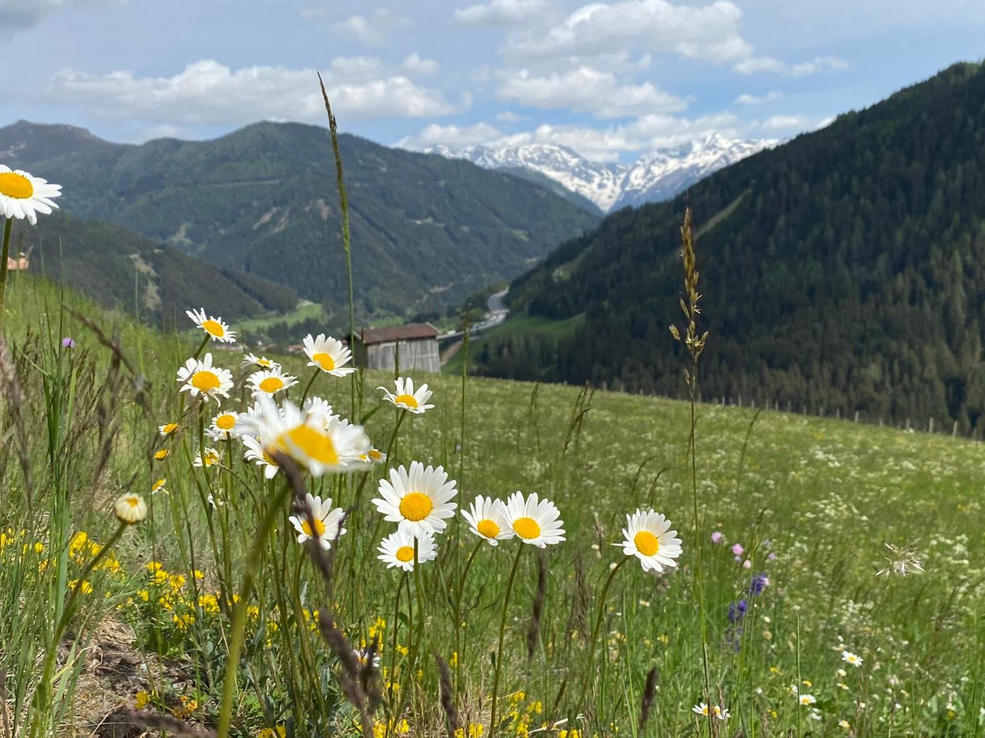 Exklusive Penthousewohnung mit Tesla-Wallbox in Innsbruck