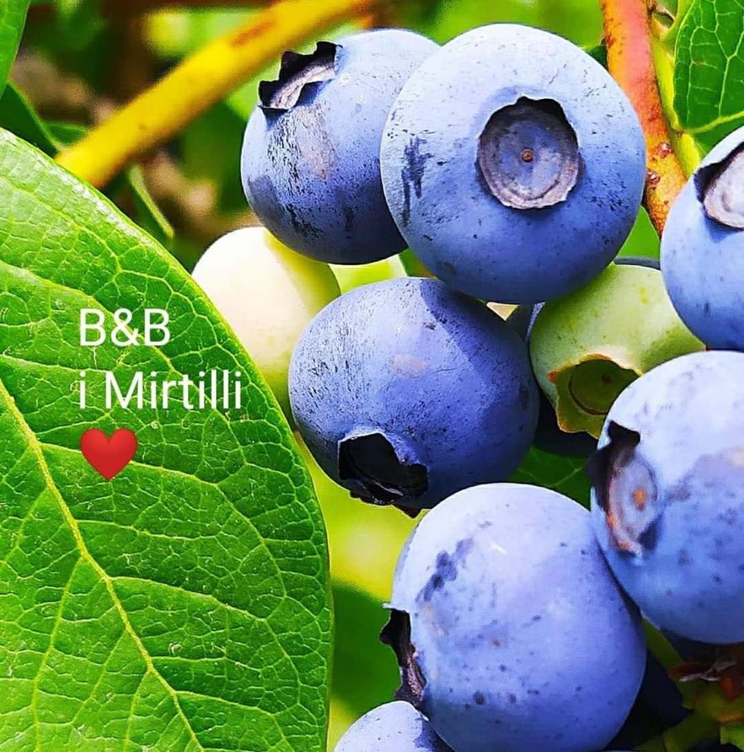 i mirtilli