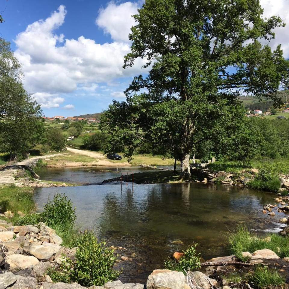 Ninho da Avó Selvagem