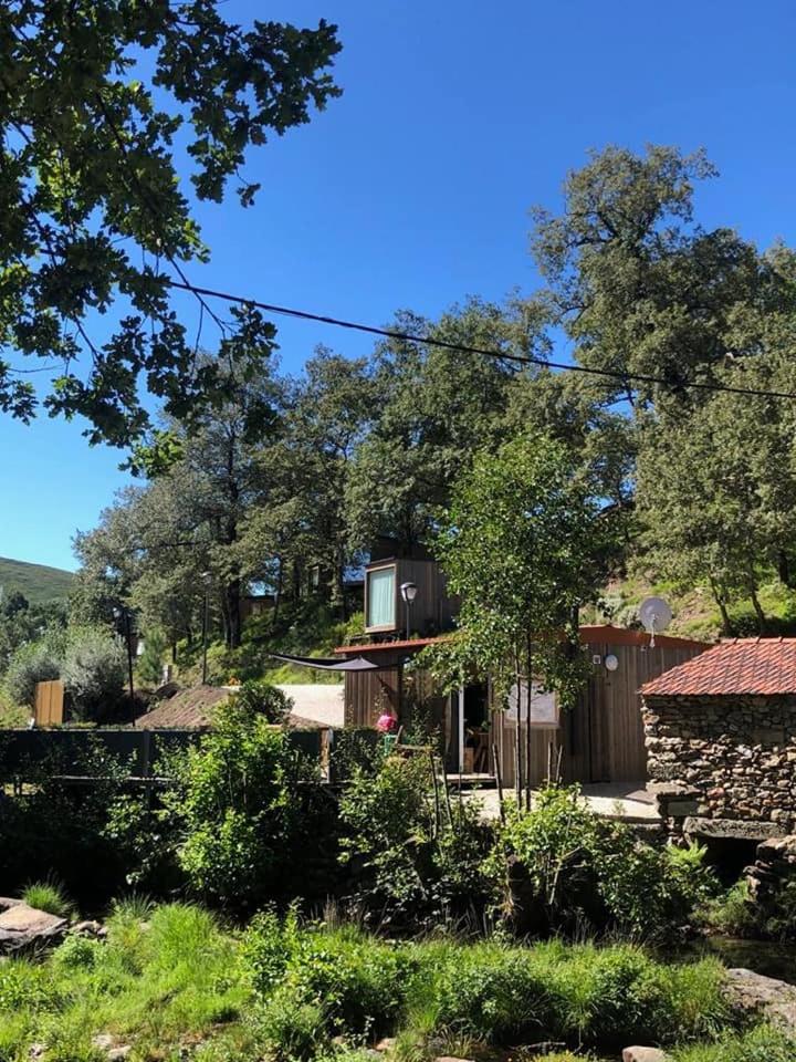 Ninho da Avó Selvagem