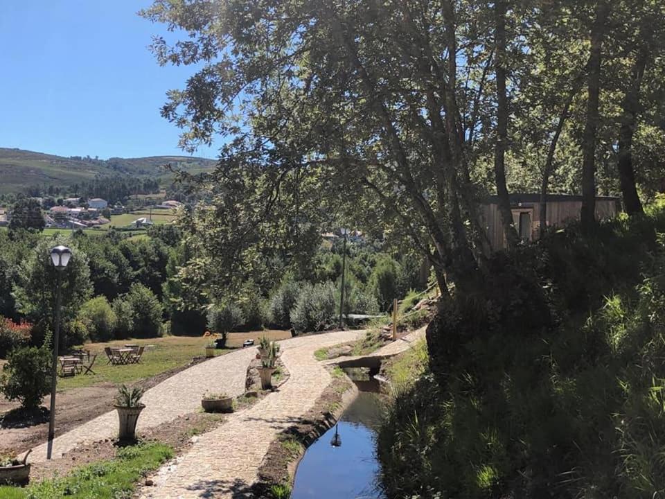 Ninho da Avó Selvagem