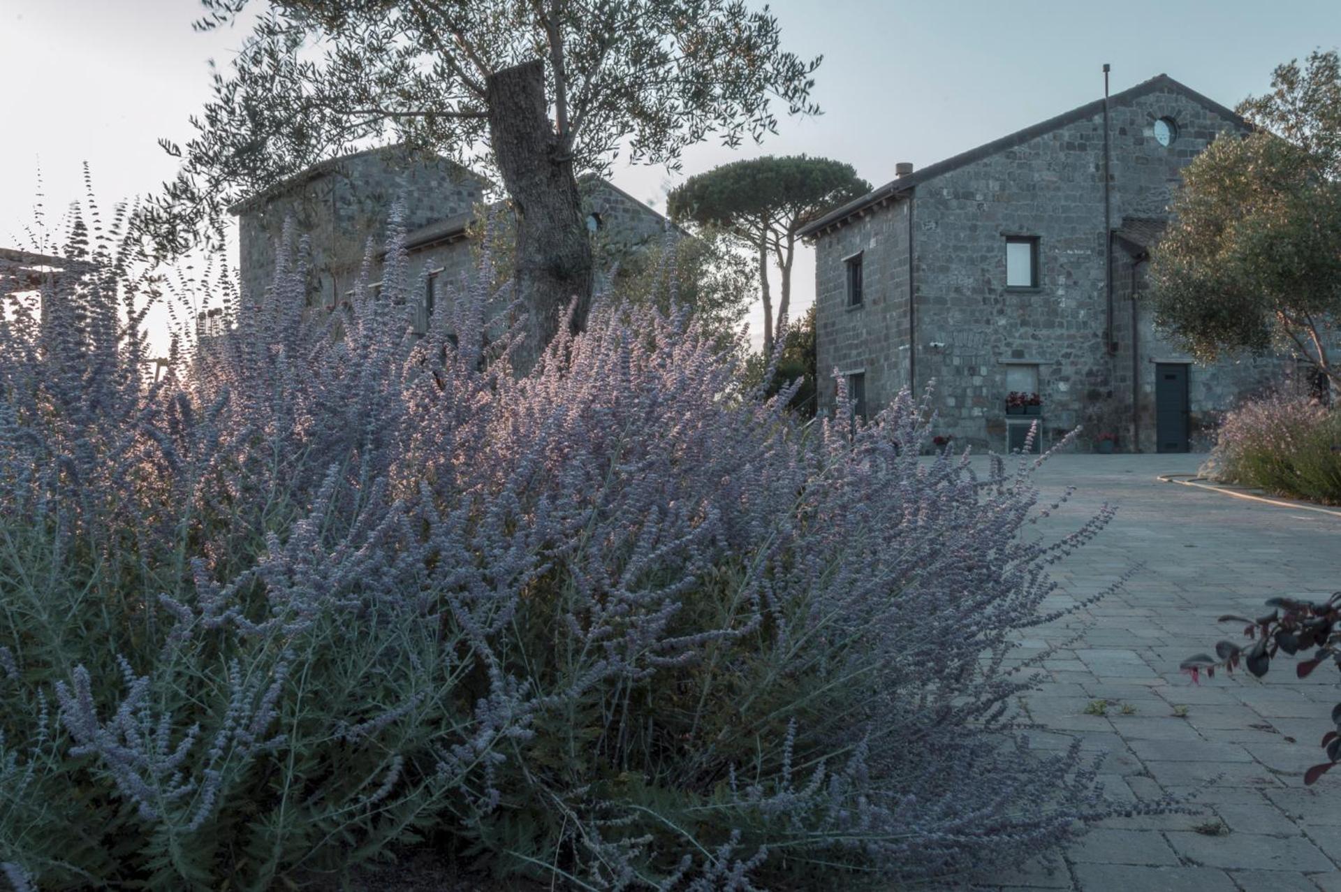 i Cacciagalli Wine Resort