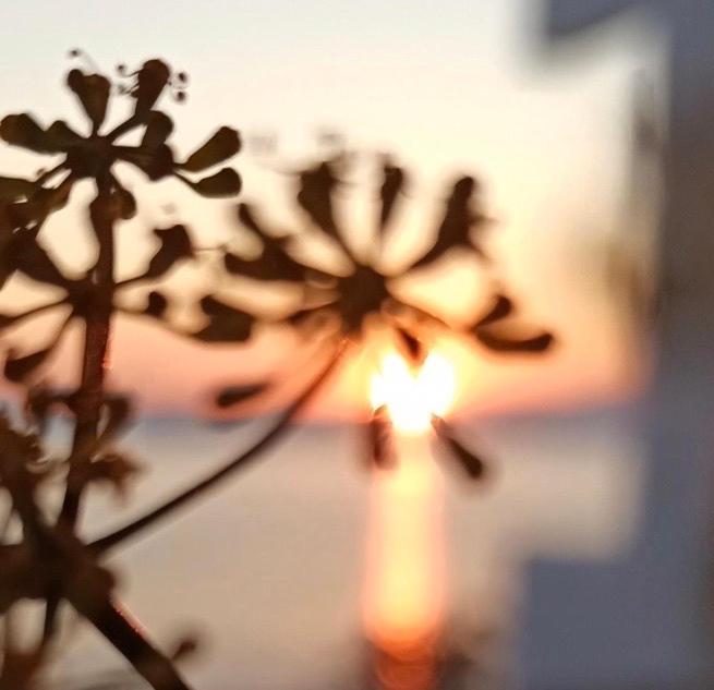 Euphoria Blue studio apartments