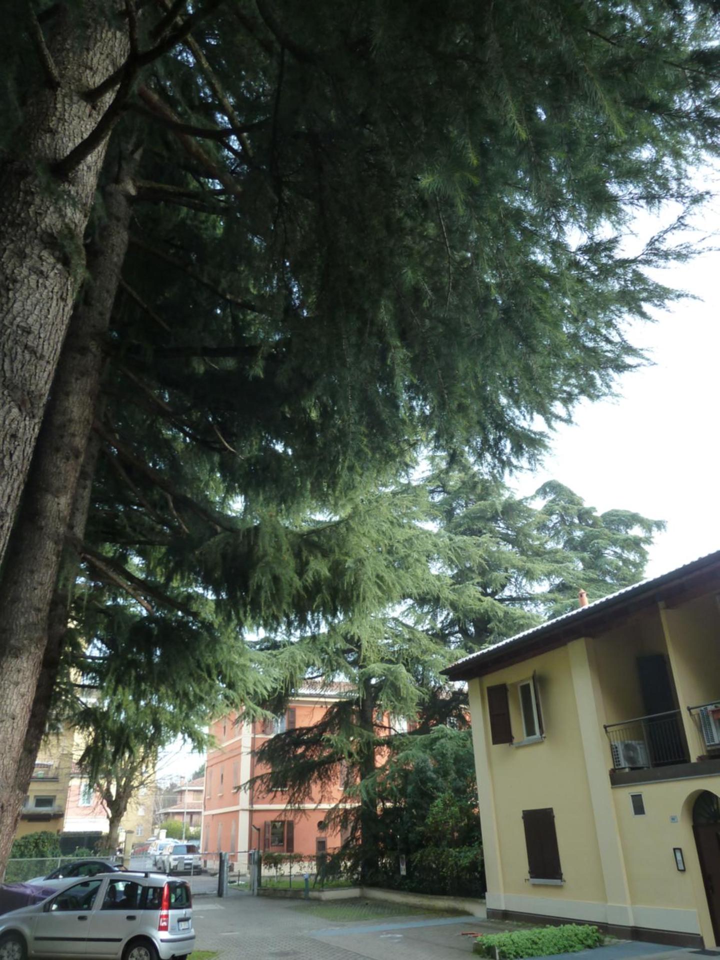 IL GIARDINETTO - Smart working - Airport - Private Parking - Private garden - Ducati - Philip Morris