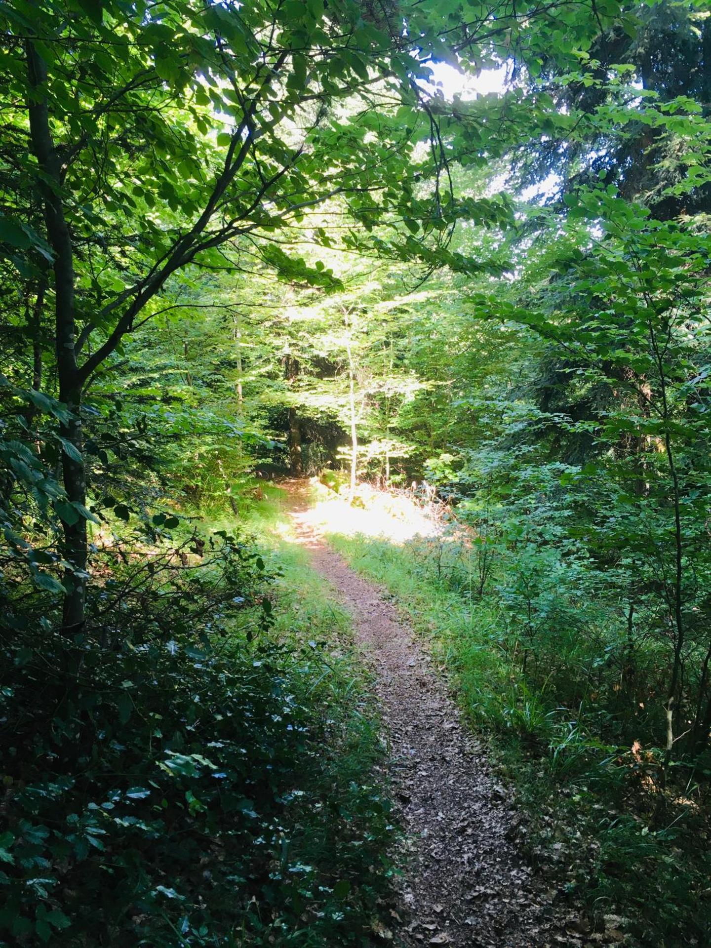 CHEZ LOU ET MAX : UN HAVRE DE PAIX.
