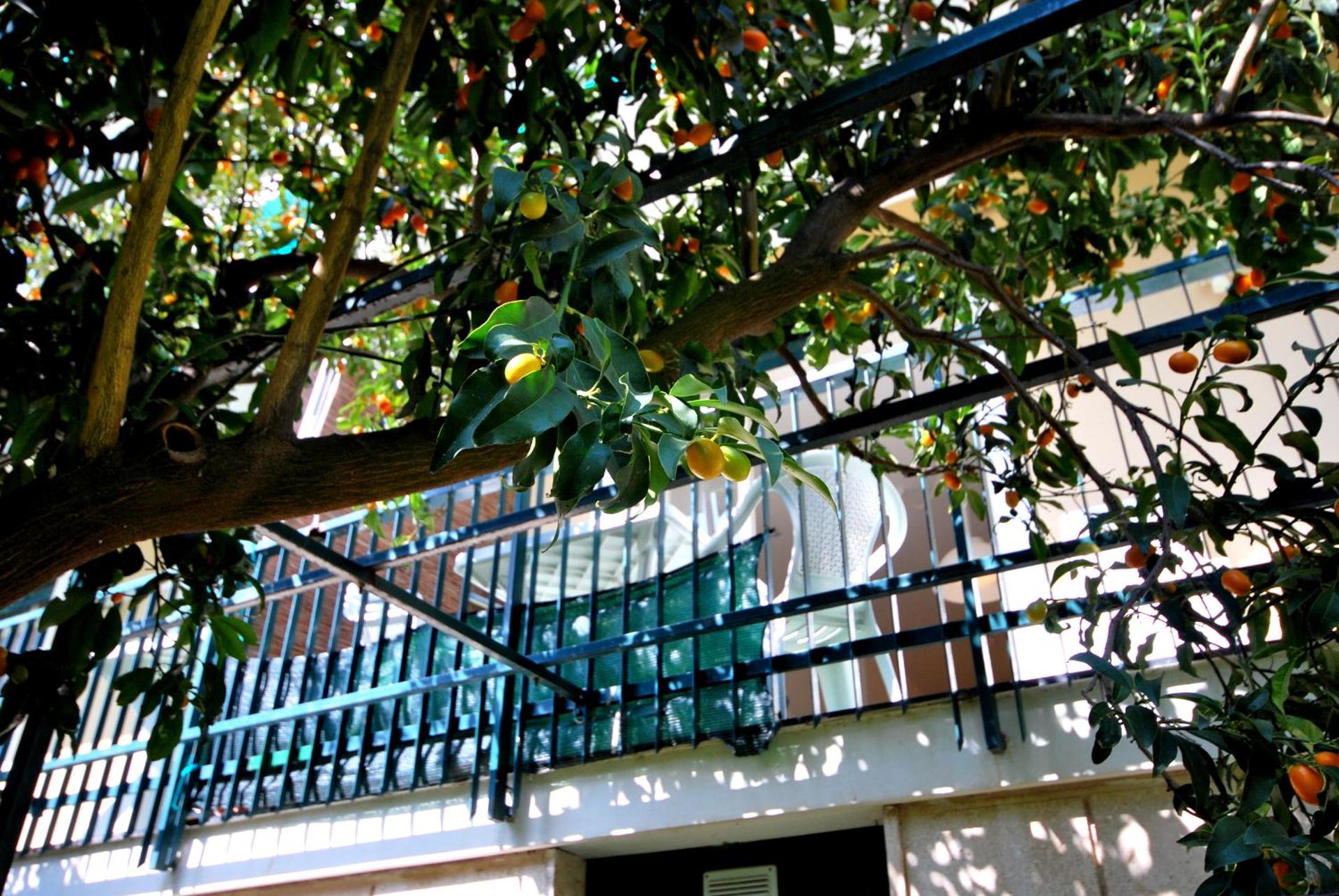 Appartamenti con giardino e posto auto per famiglie