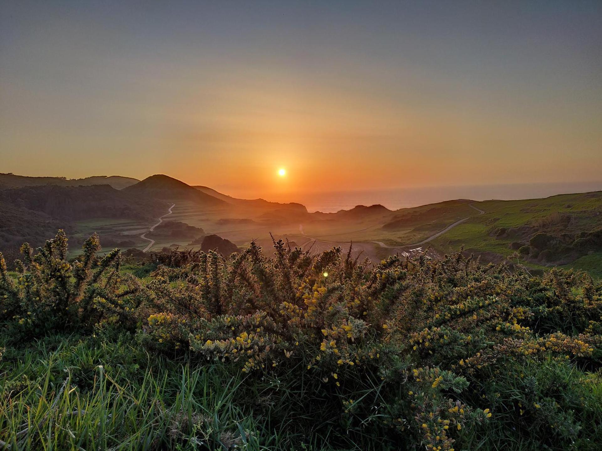 Apartamentos El Prau
