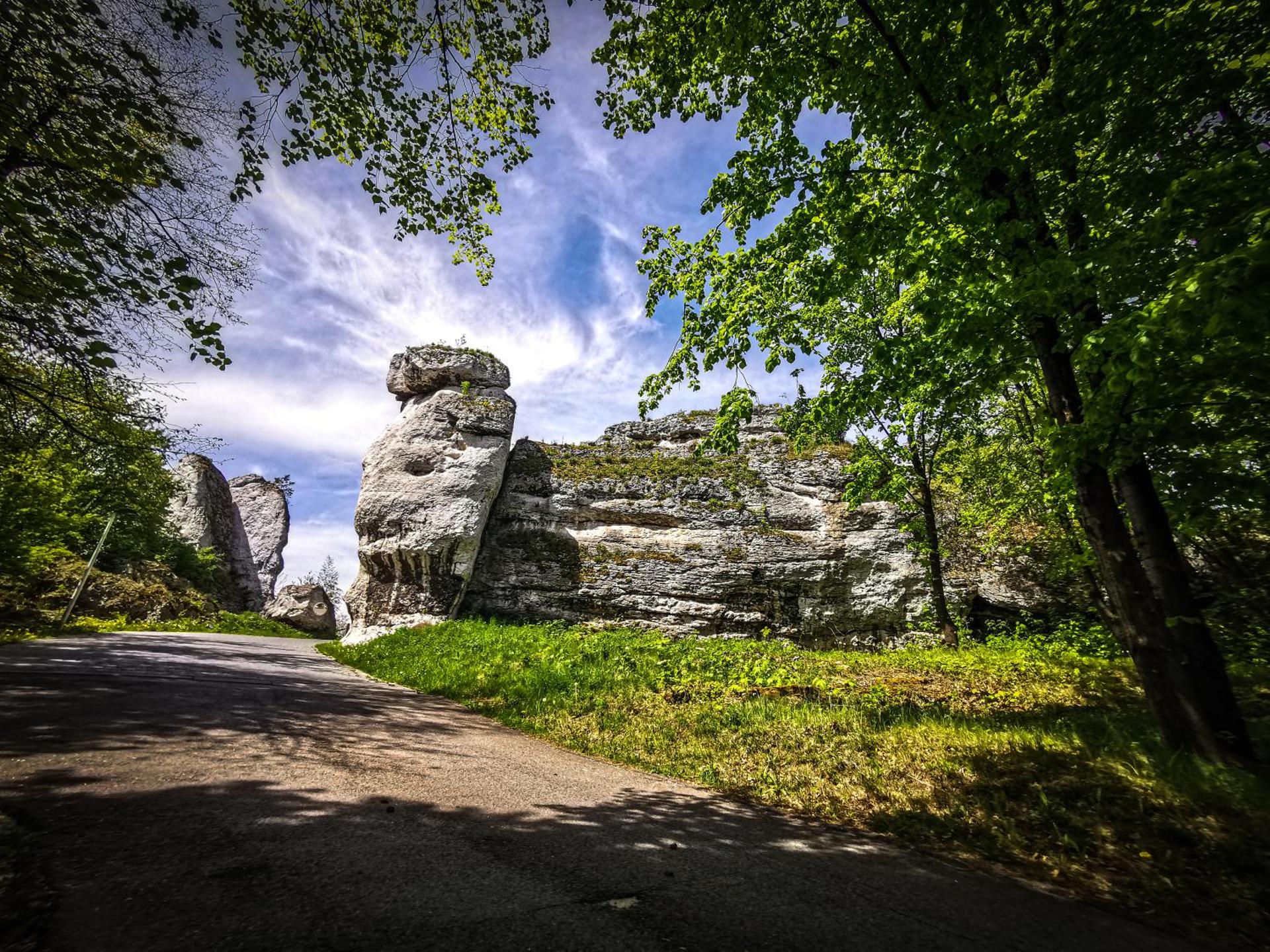 View (from property/room)