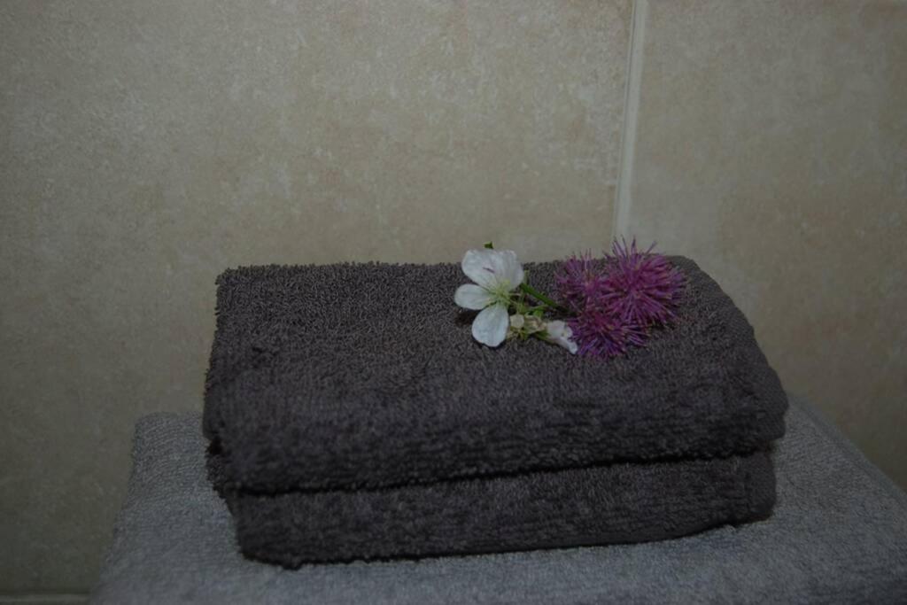 Creag Mhor Self Catering Holiday Apartment