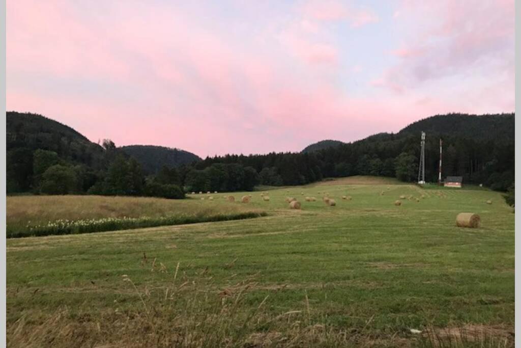 Apartament pod Stożkiem