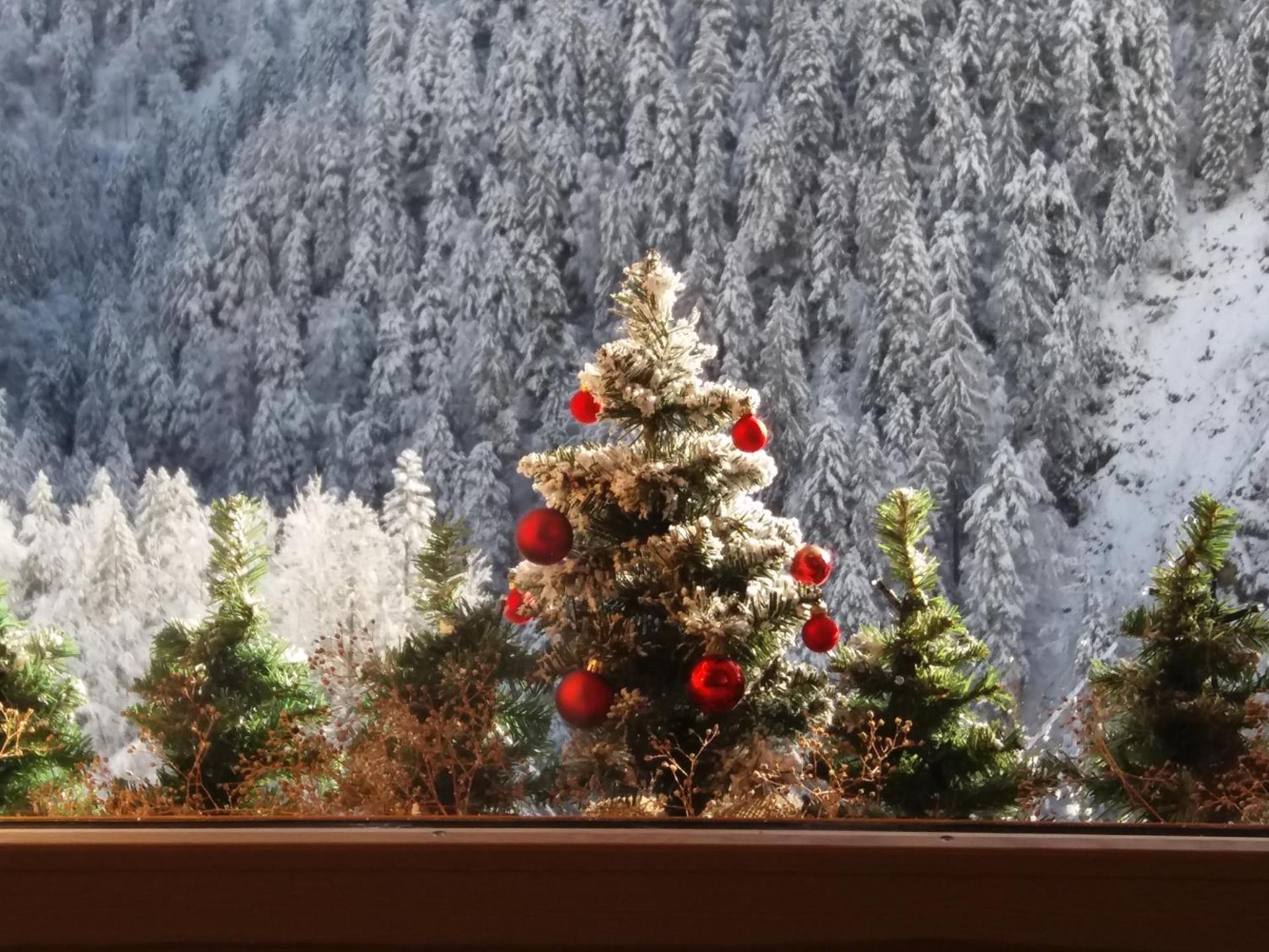 Appartement 2 pièces cuisine Les Hermines