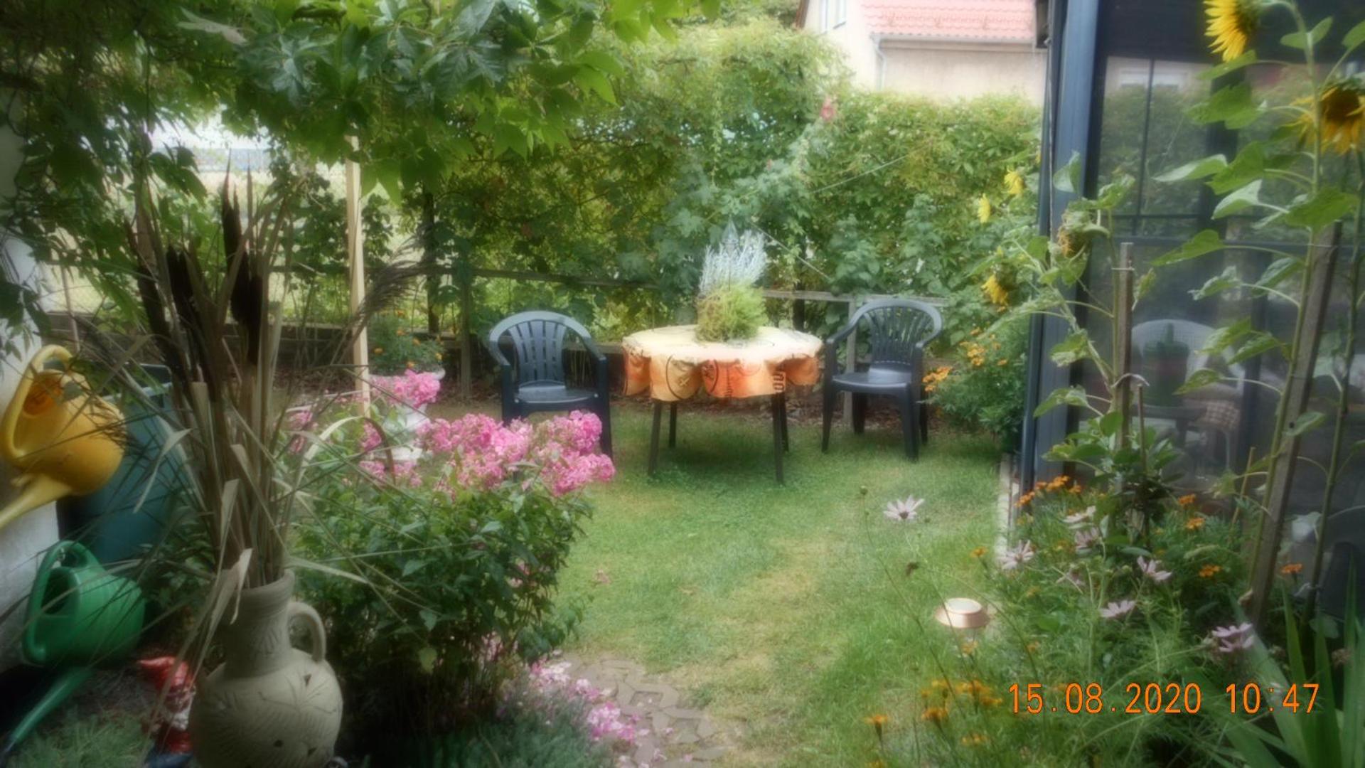 Vermiete sehr schönes Apartment in Dankerode im Harz