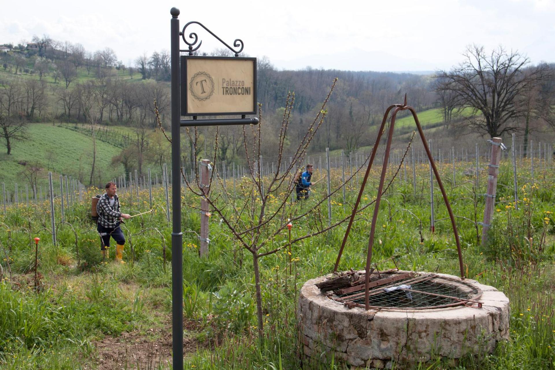 Palazzo Tronconi agriturismo