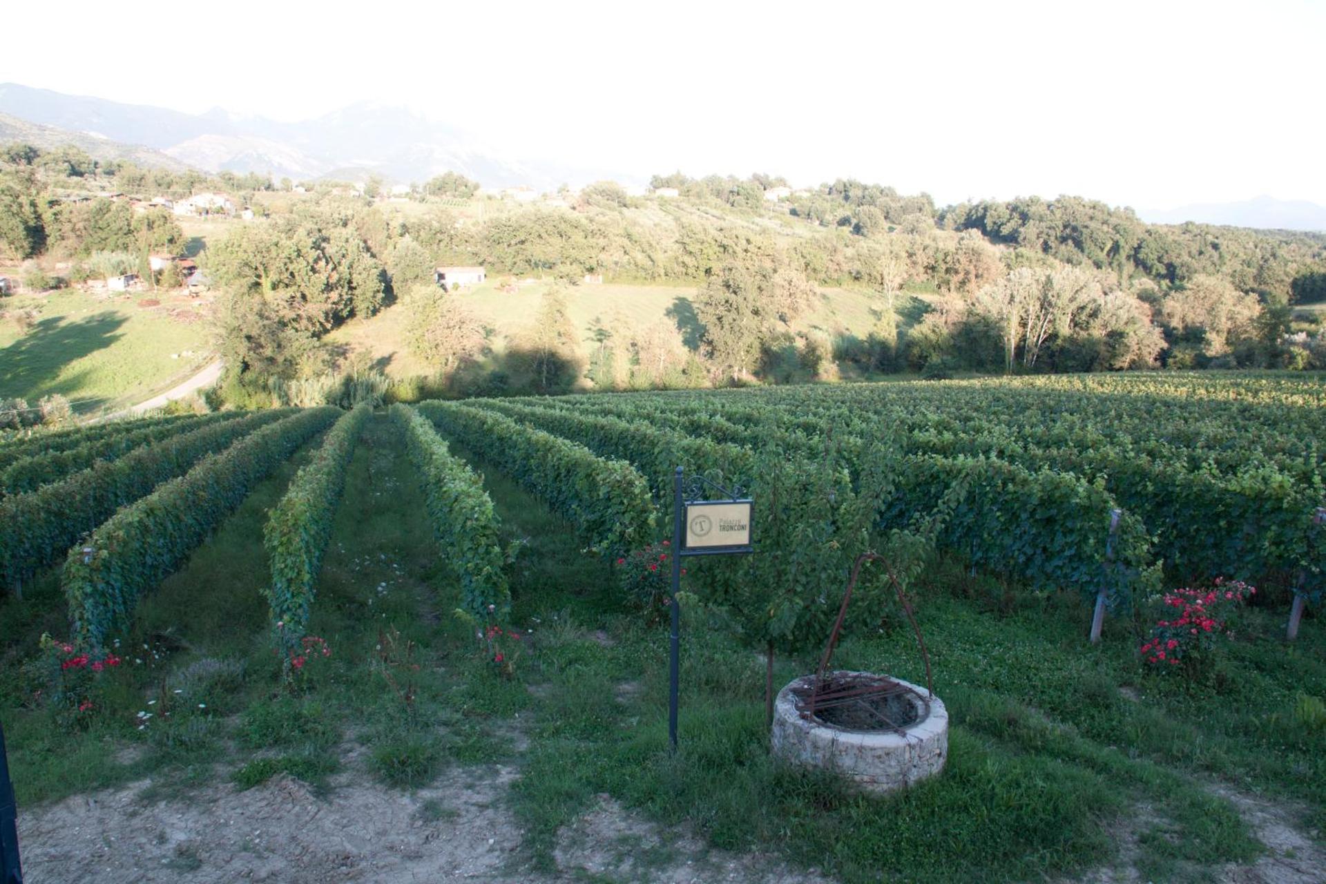 Palazzo Tronconi agriturismo