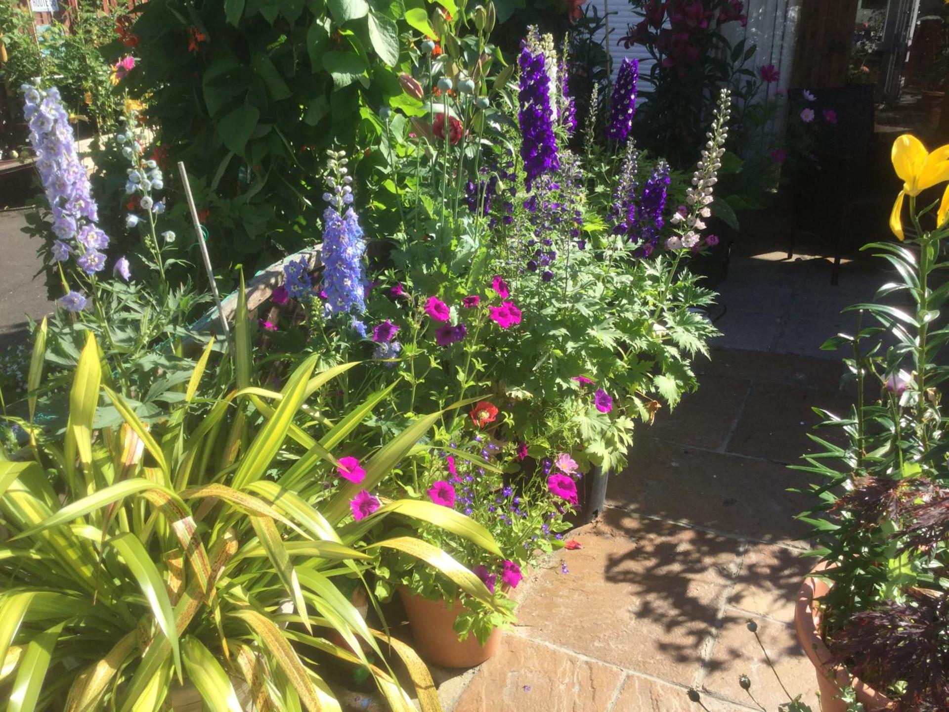 Albertine ,A warm welcome awaits you ,Offering room only or bed and breakfast ,Ideal location for Solent Way ,High Street ,Isle of Wight ,New Forest