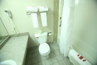 King Room - Pet Friendly/Non-Smoking