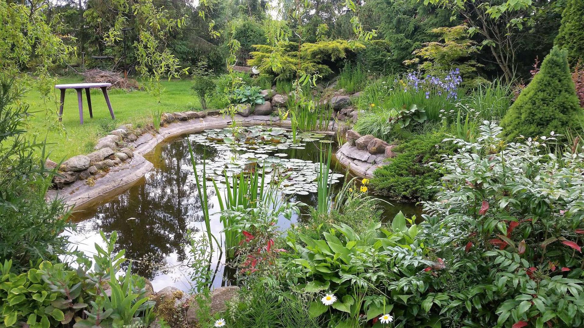 POKOJE GOŚCINNE LIBER