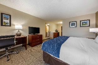 Efficiency Quadruple Room - Non Smoking