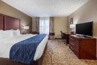 Efficiency Quadruple Room - Non Smoking