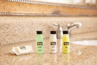 Premium Room, with 2 California King Beds - Disability Accessible