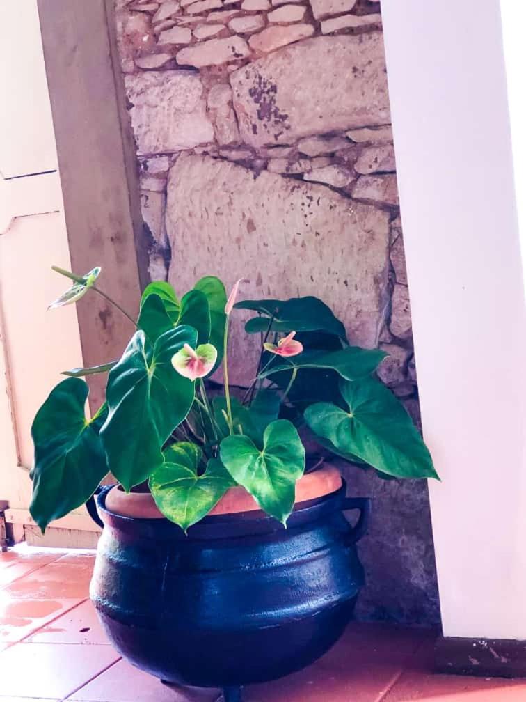 Pousada Colonial Penedo - Alagoas