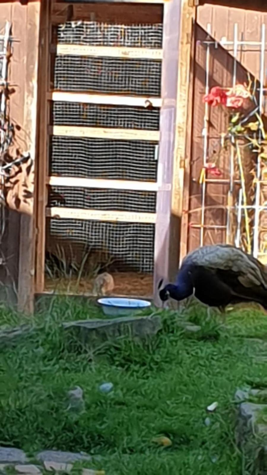 Ferienhaus Nr. 60 Im Ferienpark am Twistesee