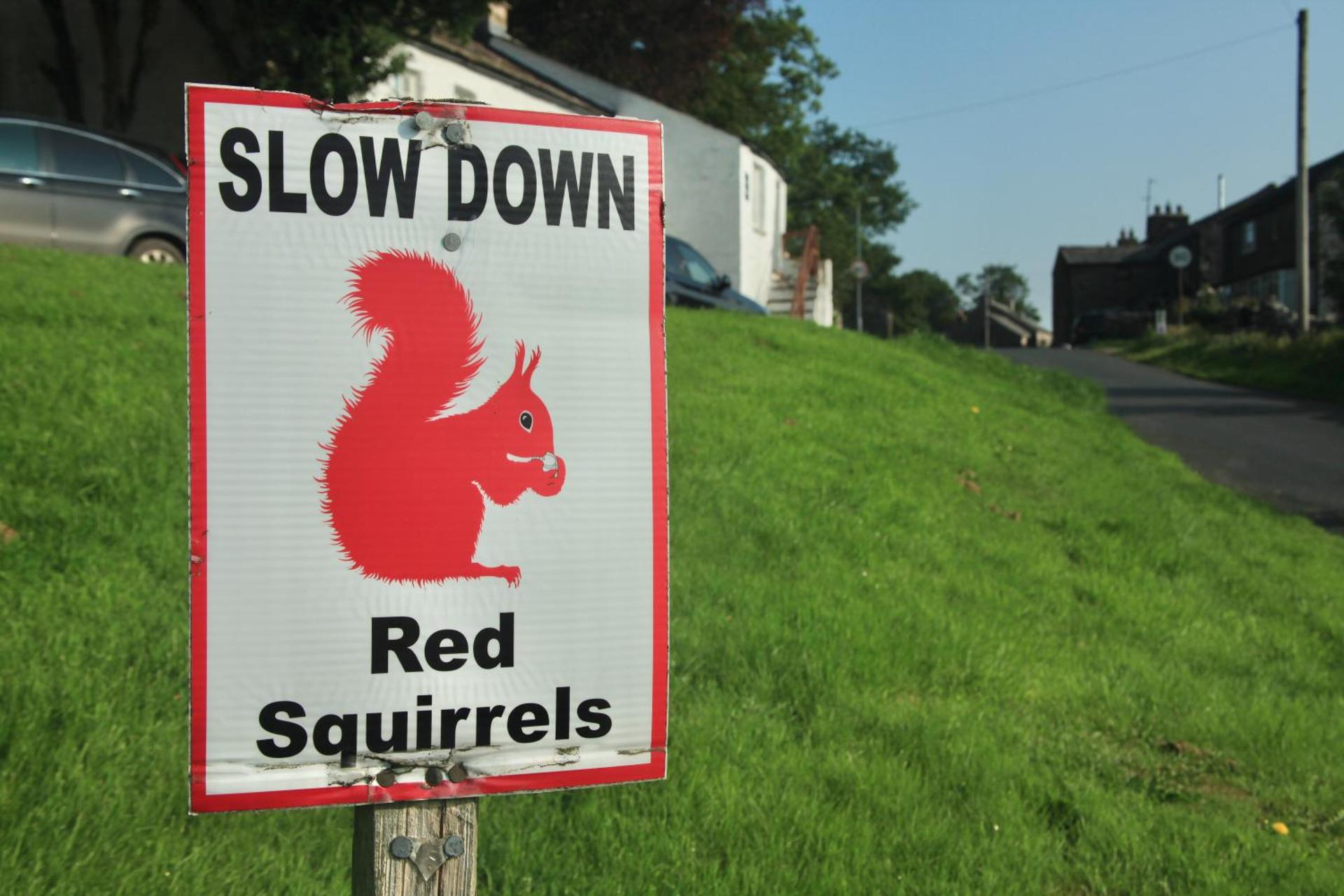 Kings Head - Riverside, Ravenstonedale