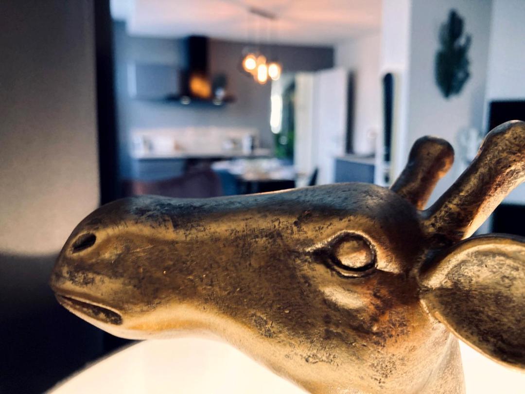 La bulle des Viennes MAISON CLIMATISEE - CHAMPAGNE