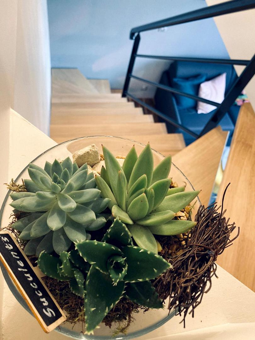 La bulle des Viennes MAISON CLIMATISEE - CHAMPAGNE