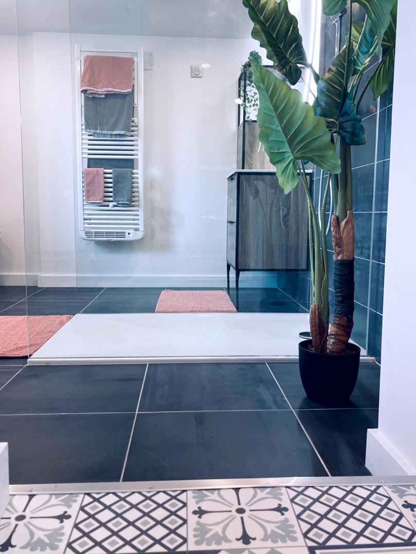 La bulle des Viennes MAISON CLIMATISEE - CHAMPAGNE