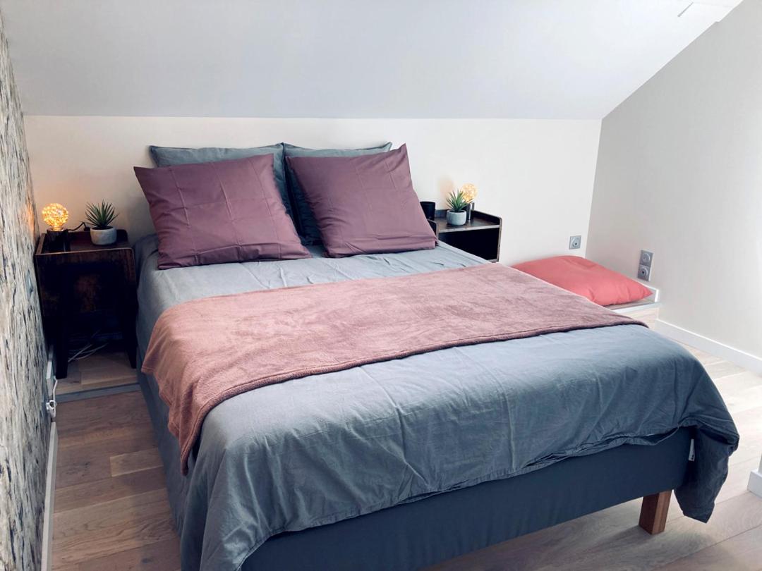 La bulle des Viennes MAISON CLIMATISEE - CHAMPAGNE