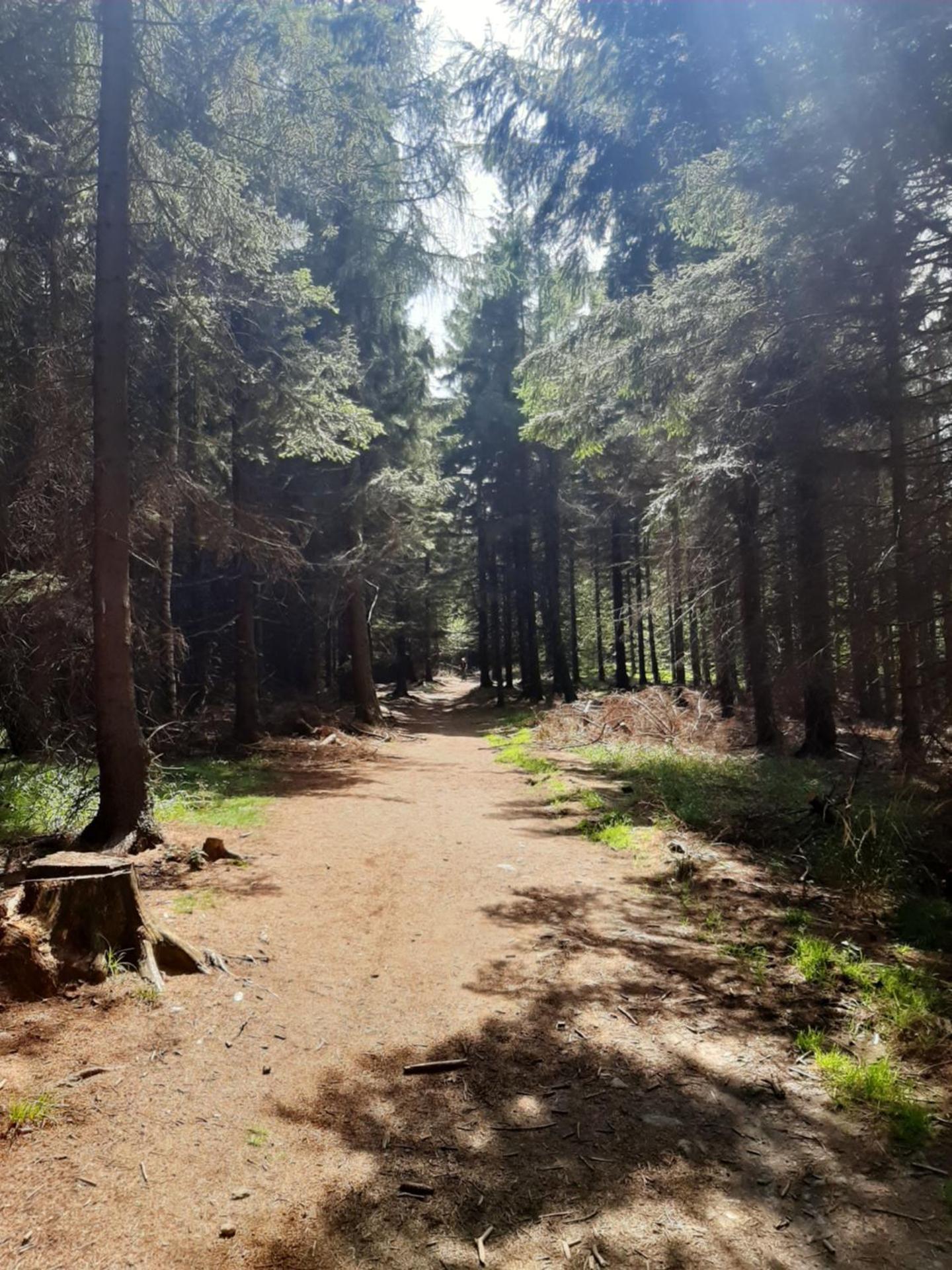 WYPOSAŻONY apartament przy strumyku w Górach Sowich, Smart TV, Odpocznij w naturze!