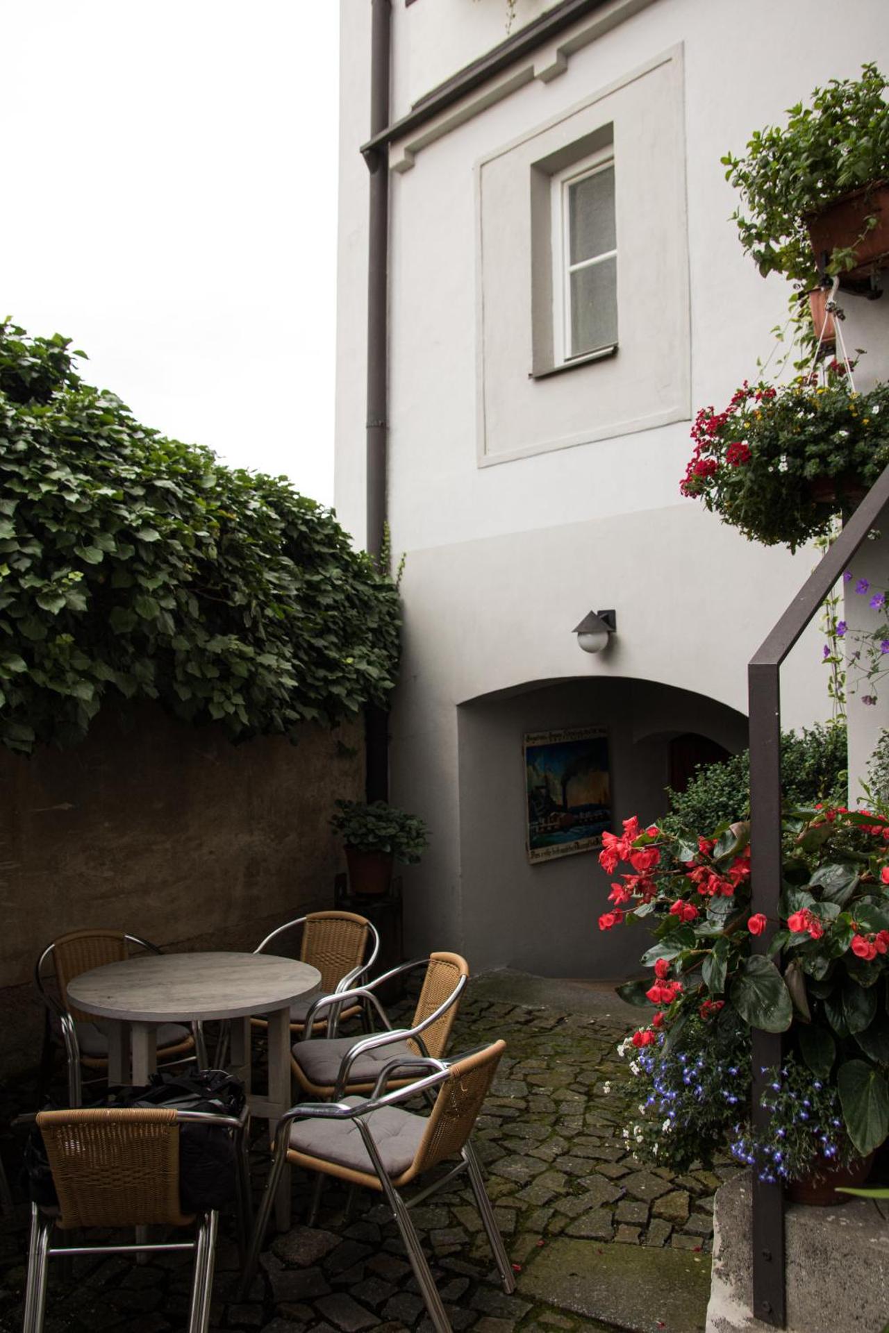 U Černého kocoura a zeleného stromu