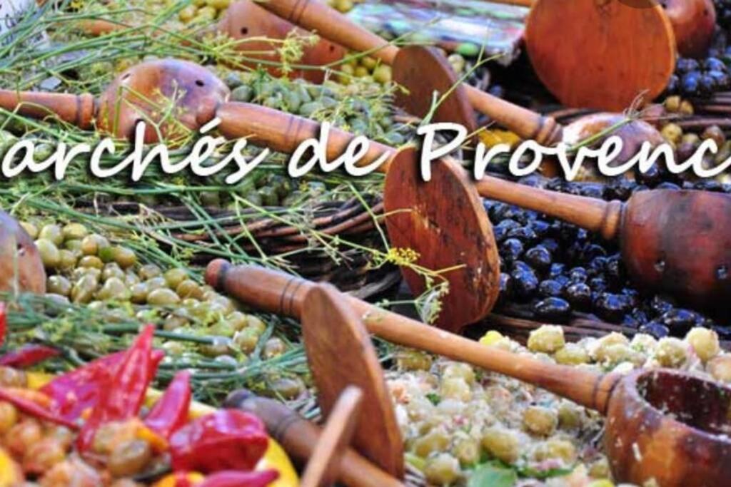 VILLA DU VERDON VAR PROVENCE avec piscine et jardin - private