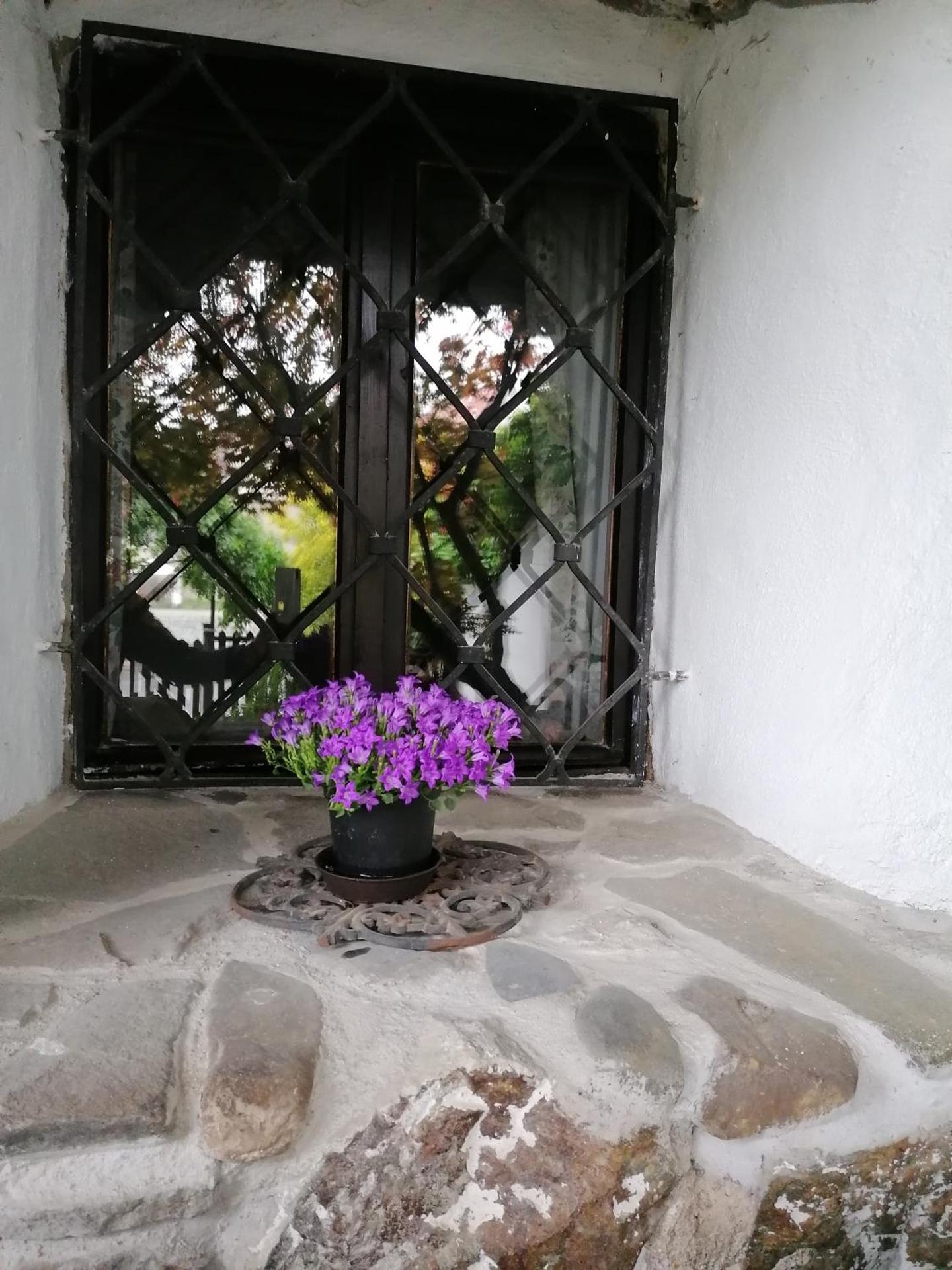 Guest House Olšakovský