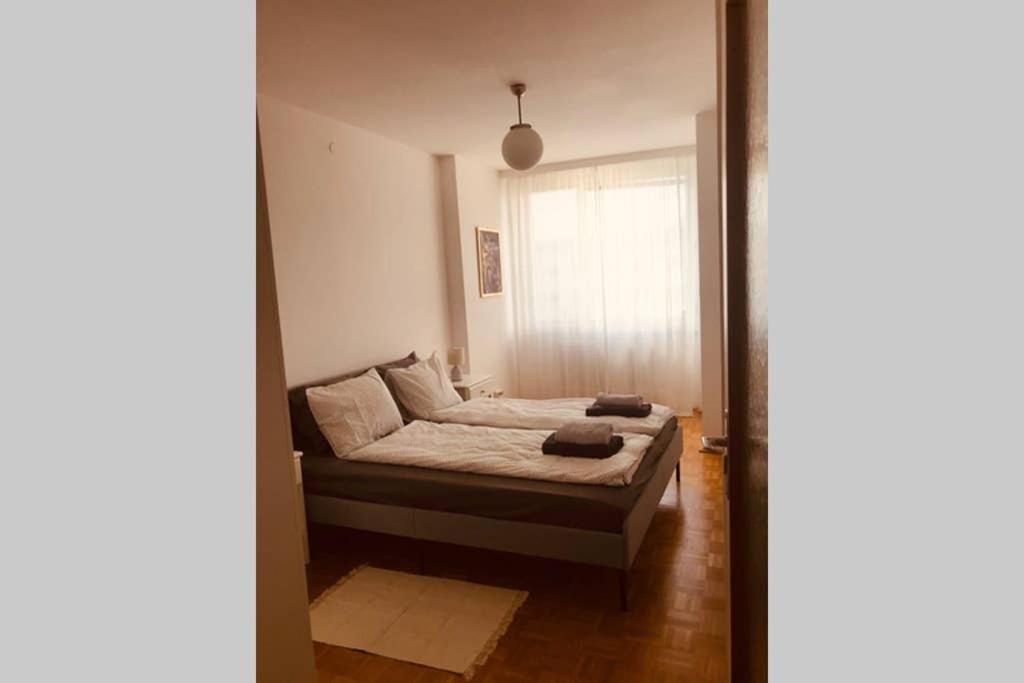 Mitten im Achten. Zentrale Wohnung in Wien