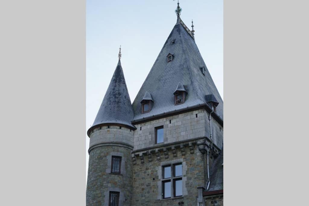 Castle Froidcour