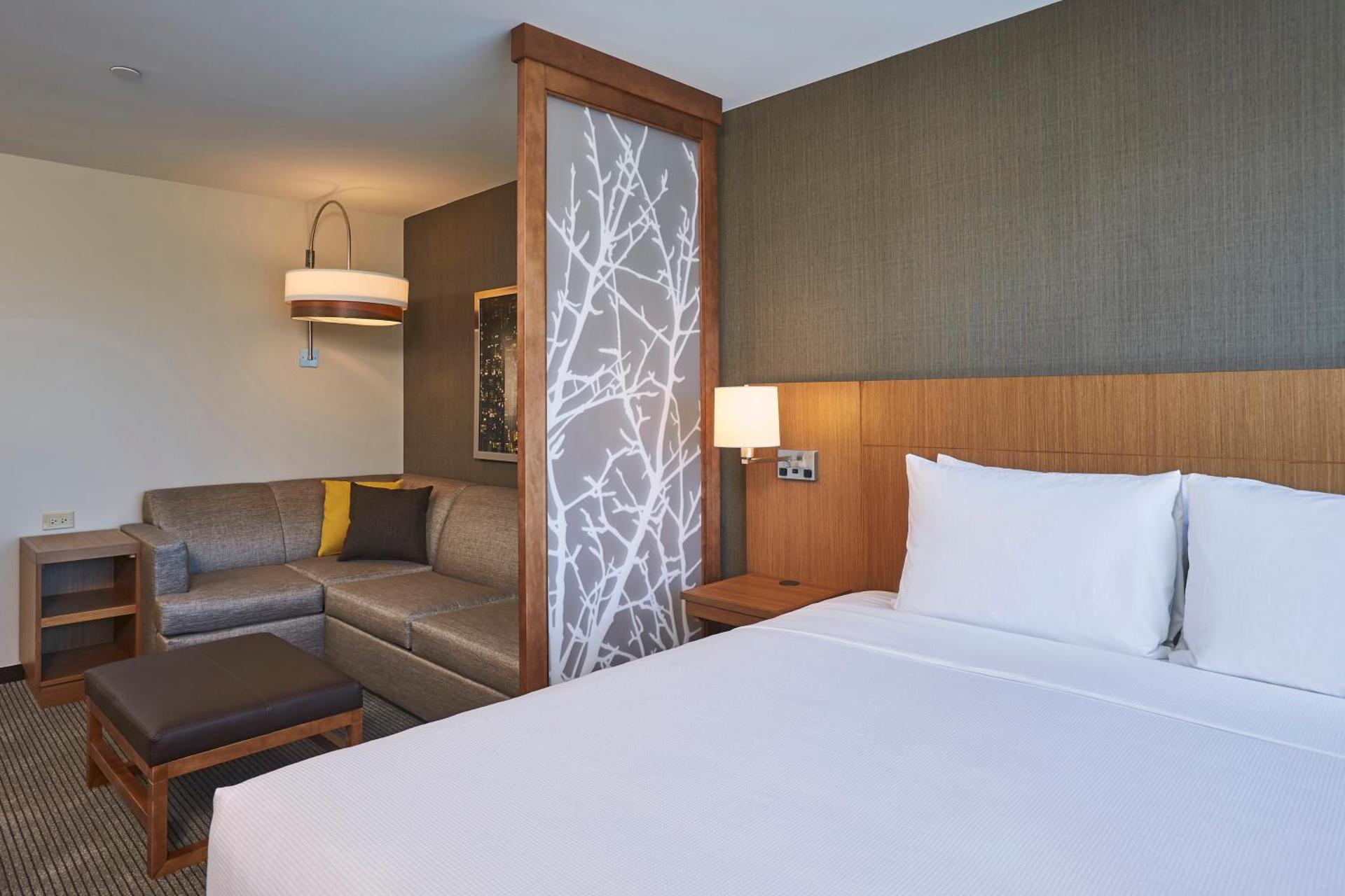 King Room with Sofa Bed