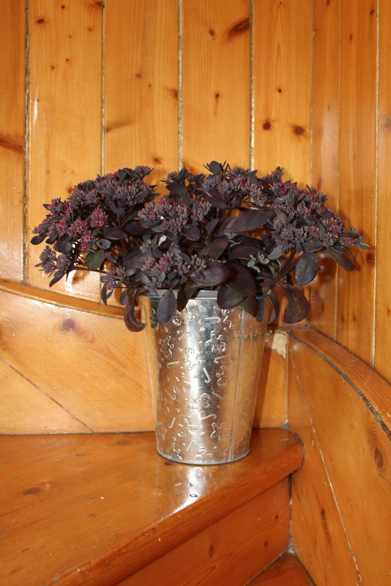 Ceol Na Mara Cottage by the sea