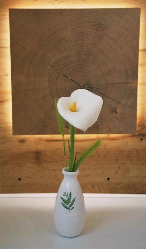 Old town apartment Popovic