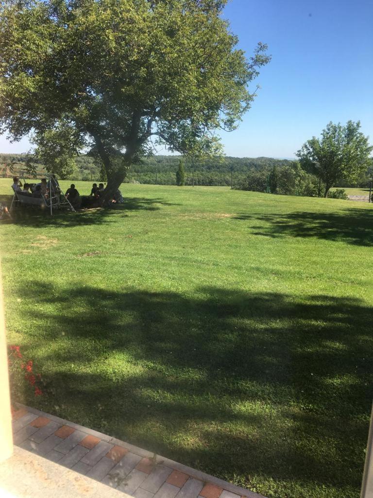 Vadaspuszta Vendeghaz