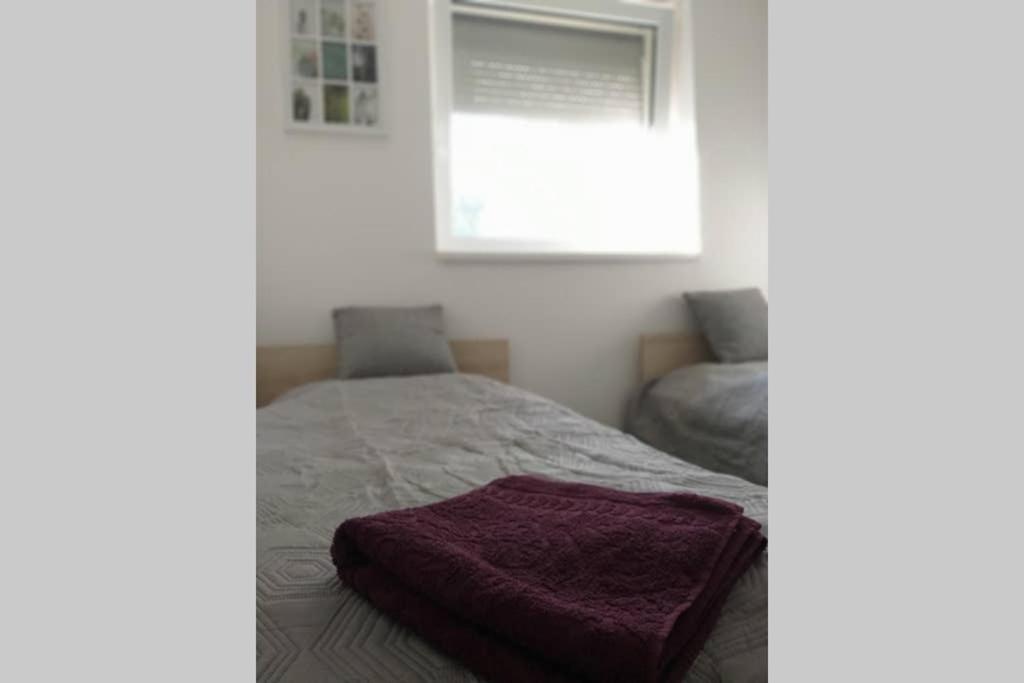 Tölgyerdő Apartman